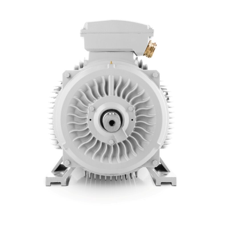 Elektrisk motor 22kW 750 rpm, IE4, 400V/690V 4LC Norge Salg